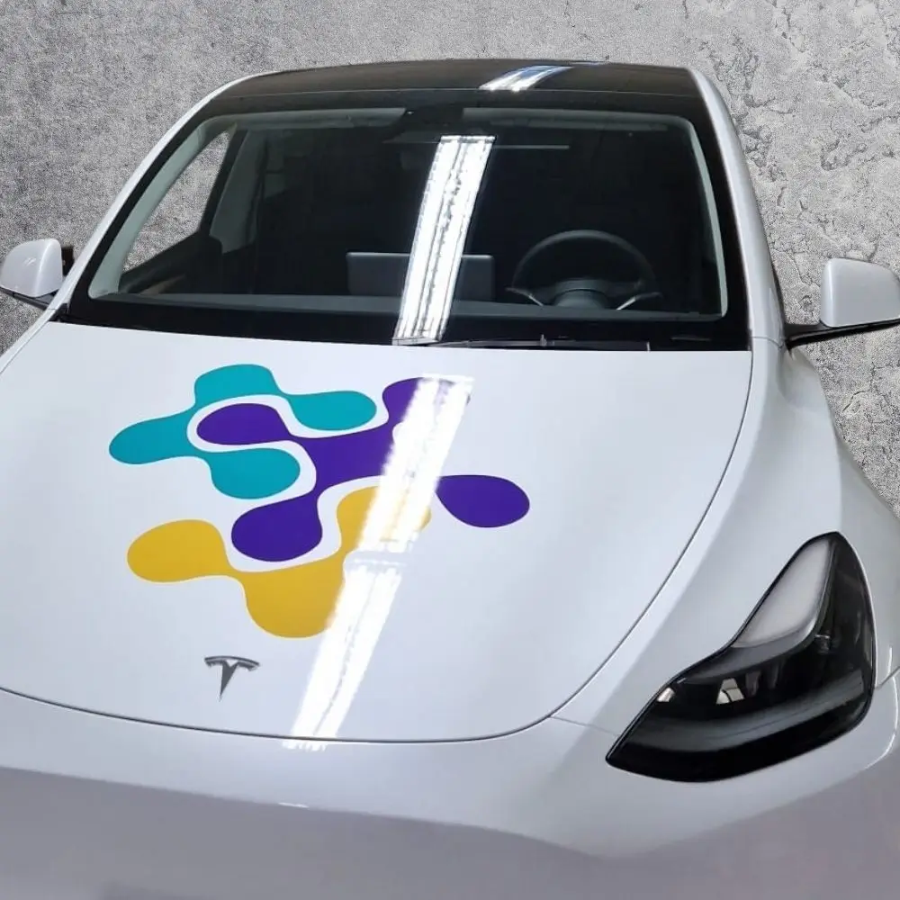 Tesla2