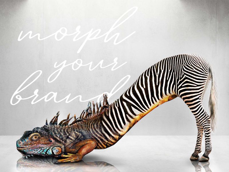 LEBEN IST MEER 4 Markenworkshop